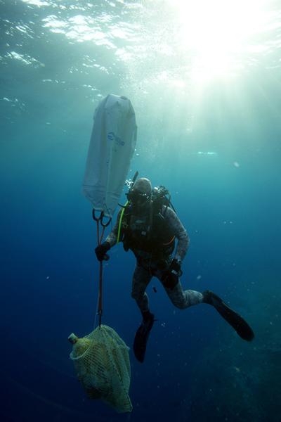 A diver lifts an amphora to the surface. Credit: Vasilis Mentogianis